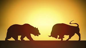 bull vs bear